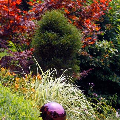 A-mirrored-ball-helps-set-off-part-of-the-garden