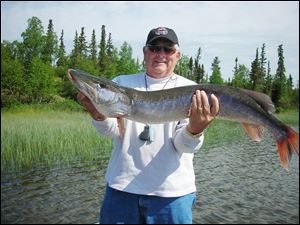 Toledoan Tom Schlachter caught a 42-inch silver pike, a rare variation of the northern pike, on a recent fishing trip to Canada.
