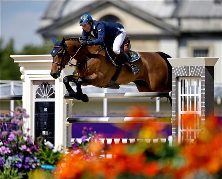 Horses Jumping Olympics