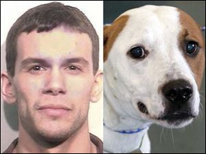 Aaron A. Nova, 26, of Millbury faces a second-degree misdemeanor over the treatment of Marbles.