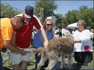 Longest tail contestant Jack is measured by judges Orlando Cuevas, of Northwood, left, Paul Jomantas [a magistrate in the Lucas Count Probate court], of Swanton, and Heather Yarger, of Maumee. Jack's owner is Barbara Miller, of Swanton, right.