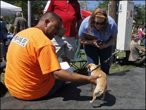 Judges Orlando Cuevas, of Northwood, left, Paul Jomantas [a magistrate in the Lucas County Probate Court], center, and Heather Yarger, of Maumee, with Stinker, an entrant in the littlest dog contest. Stinker came with Libby Parish of Maumee.