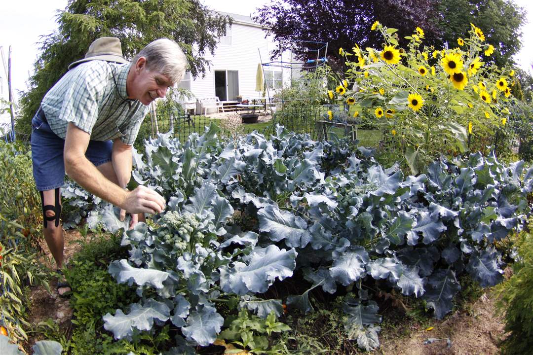John-Arnold-weed-reap-broccoli