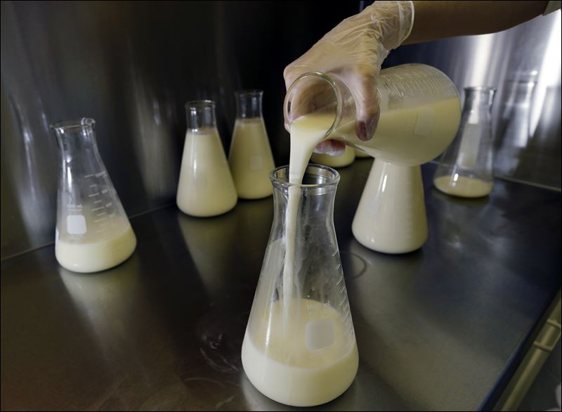 Banks For Breast Milk A Good Investment Toledo Blade