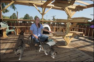 Lisa McKenzie, shelter manager of Maumee Valley Save-A-Pet, in the recently opened Kitty Cabana attached to the facility in Toledo.