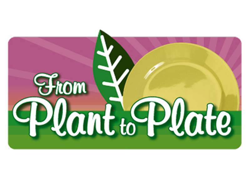 Plant-to-Plate-1