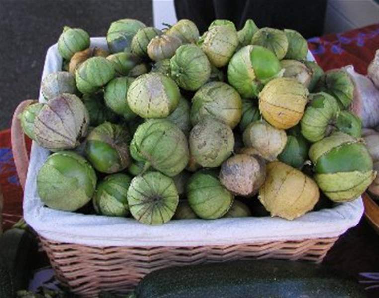 It's time to harvest tomatillos The Blade