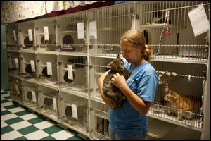 Kim Ferguson, cat shelter supervisor, comforts a cat at Paws and Whiskers. The group will hold a big fund-raiser in October, but  officials say funds are needed now because of unexpected vet bills.