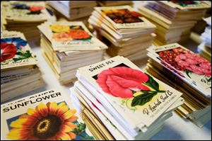 Explorers Meriwether Lewis and William Clark sent back collected samples of native plants to D. Landreth for cultivation. Today, most of the seeds are packaged by machine, but some of the oddly shaped ones, such as beans, need to be packed by hand.
