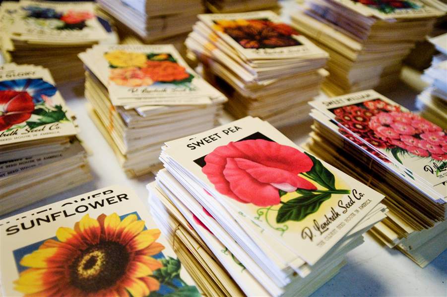 seed-packets