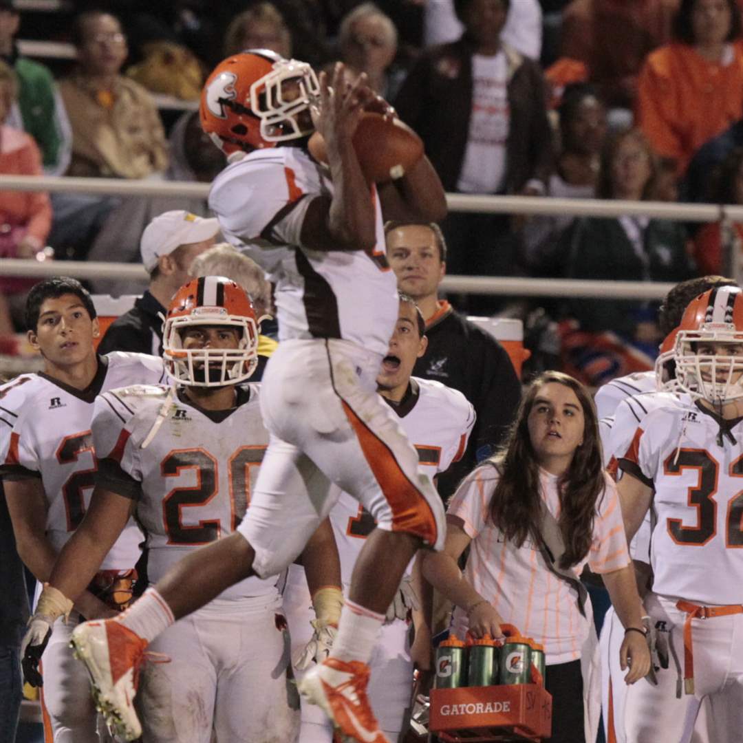 Napoleon-Southview-late-leap