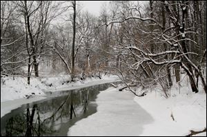Snowy serenity along Swan Creek.
