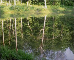 Lake Diane in Camden, Mich.