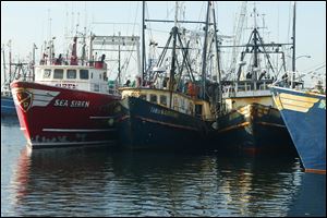 New Bedford, Mass., had the highest-valued catch for the 12th straight year, due largely to its scallop fishery.