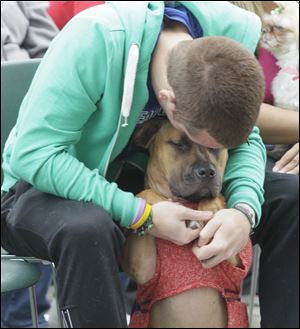 Matthew Bradfield and his dog Neesha, of Perrysburg, during the Beauty PAWgent. The Wood County Humane Society's Mutt Strut at the W.W. Knight Nature Preserve in Perrysburg.