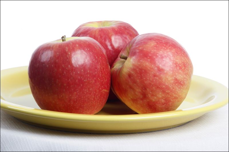 Apples Savor fall’s favorite fruit Toledo Blade