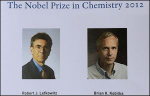 Americans Robert Lefkowitz and Brian Kobilka won the 2012 Nobel Prize in chemistry Wednesday for studies of proteins that let body cells respond to signals from the outside