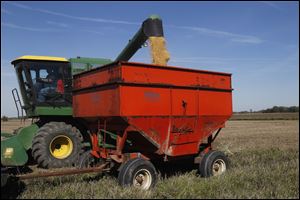 Farmer Jim Canterbury of Portage, Ohio harvests soybeans that will be taken to the Mid-Wood Inc. grain elevator in Bowling Green. Farmers expected disaster after oppressive heat and severe drought conditions ravaged Ohio and much of the United States.