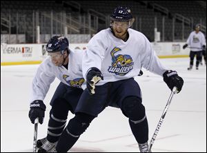 Toledo Walleye hockey players Randy Rowe, left, and Kyle Rogers, do battle during training camp earlier this month downtown.