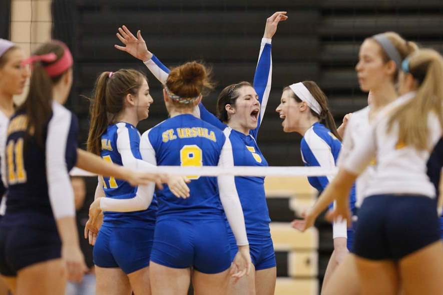 Volleyball-districts-arms-up