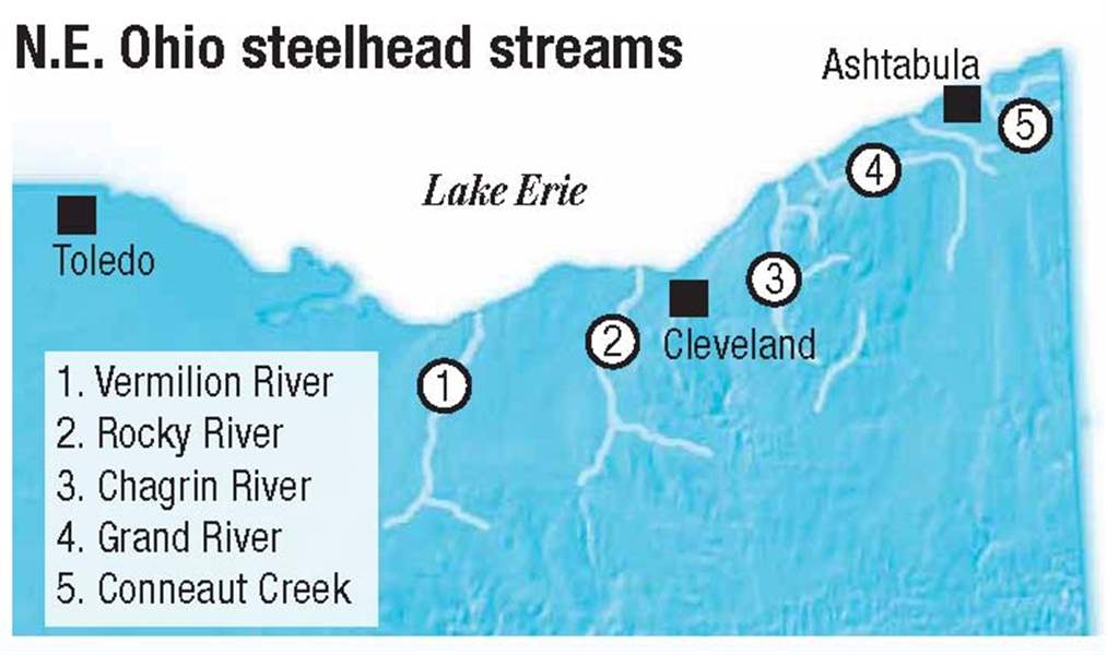 NEO-steelhad-streams