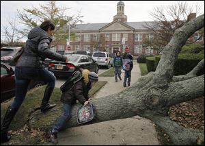 A woman and her son scramble over a tree toppled by Superstorm Sandy as she accompanies him today to Public School 195, background, in the Manhattan Beach neighborhood of the Brooklyn borough.