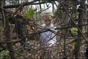 Perrysburg resident Clare Wellstein, 4, adds sticks to a large nest in the backyard of the activity building during a squirrel-nest-making lesson at the WW Knight Nature Preserve in Perrysburg.