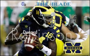 Denard Robinson Skin 