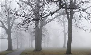 Trees in Walbridge Park in South Toledo are shrouded in fog.