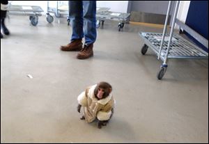 A small monkey wearing a winter coat and a diaper wanders around at an IKEA in Toronto Sunday.