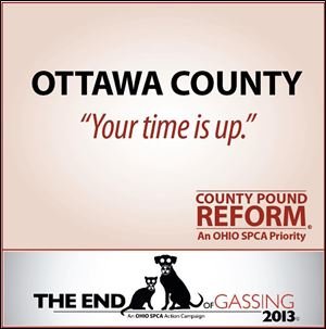 The Ohio Society for the Prevention of Cruelty to Animals is targeting Ottawa County in the effort to stop gassing as a method of killing dogs. Hocking and Perry counties in southeast Ohio also gas dogs.