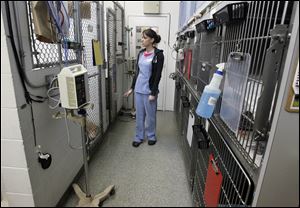 The kennel area of the old Animal Emergency and Critical Care Center of Toledo building on W. Central Ave.