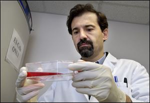 Jose Cibelli, holding a container of embryonic stem cells in his Michigan State University lab, has been involved with ground-breaking embryo cloning experiments.