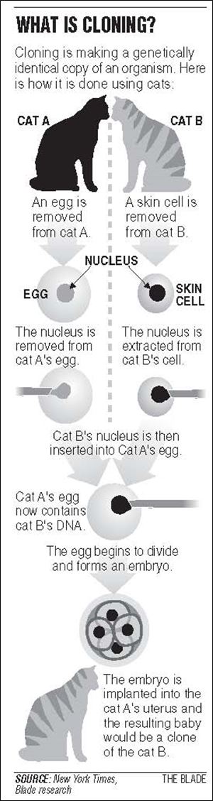 what is cloning 