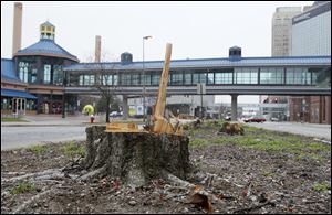 Tree stumps and sawdust remain in the median on Summit Street between Adams and Jackson streets.