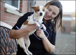 Laura Simmons, Lucas County Dog Warden operations manager, holds Klinger before his departure from the pound. 