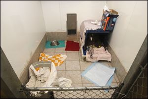 Jane Huth set up this pen area for  Cindy Lou Who at her Oregon shelter. Cindy Lou Who is the first beneficiary of Cutie's Fund.
