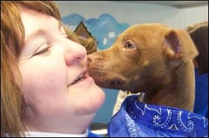 Cindy Reinsel, founder of Toledo’s PETBull Project, gets kisses. Her group stresses preventing animal cruelty and the importance of spaying and neutering. The group also offers free training.