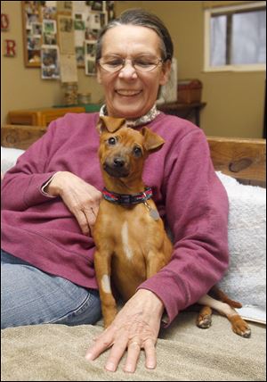 Jane Huth, You Lucky Dog’s founder, and other volunteers are helping with the recovery of Cindy Lou Who, a terrier mix, at her rescue group.