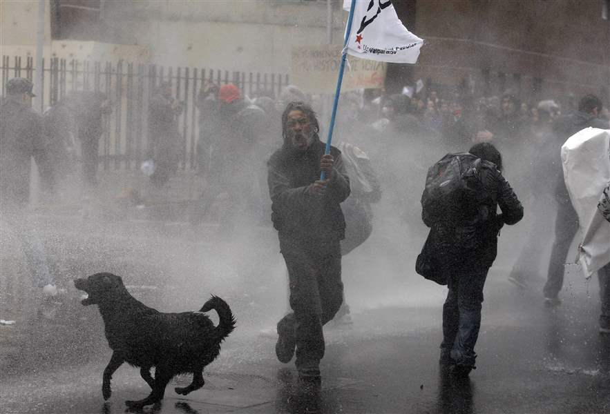 Chile-Demo-Dogs