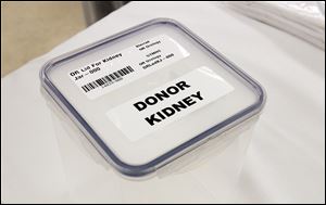 The University of Toledo Medical Center's vaunted live kidney donor program was voluntarily suspended for months after kidney was accidentally discarded during surgery.
