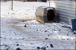 Khloe, a 20-pound female terrier mix, escaped from this yard on Mambrino Street in Oregon on Dec. 27. The next day, the frozen back half of the carcass was discovered in the yard near the back fence.