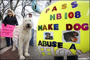Animal activists Lynda Picard, left, and Kimm Penn protest with Ms. Penn’s Irish wolfhound, Finnegan, outside Toledo Municipal Court before the animal-cruelty trial of Aaron Nova.