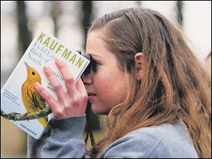 Sarah Parker, of Berkey, looking at a Downy Woodpecker in the park. [She is the daughter of Robin Parker, an assistant manager at Olander who was also on the walk.]