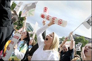 Michigan protesters shout during a rally to protest recent court rulings and proposed legislative changes that would make it harder for some licensed patients to get the drug. Though still outlawed at the federal level, medical marijuana has been legal for registered card holders in Colorado since 2000. The passage of Amendment 64 in November made it legal for adults in the state to possess up to an ounce of the substance, which could be available for purchase through licensed establishments as early as 2014.