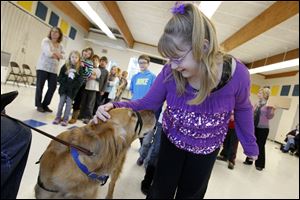 Quincy, a 4-year-old golden retriever service dog owned by Benny Wilkerson, shares affection with third grader Emily Wells at Whiteford Elementary School in Ottawa Lake. 
