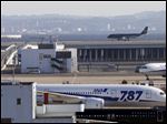  A grounded All Nippon Airways' Boeing 787 is parked on the tarmac at Haneda airport in Tokyo. Although a fire destroyed one of two big batteries on a Boeing 787 parked at Logan Airport in Boston three weeks ago, a quick examination of the second battery found 