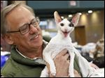  Ron Kress from Kresstar Cattery in Pittsburgh holds his 8-month-old Cornish Rex cat named Ollivander at the Cat Fanciers’ Association show at Monroe County Community College. The Cornish Rex breed  is known for its soft, short coat, which ideally falls in washboard waves.