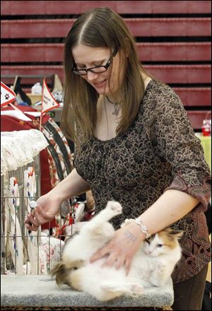 Lorna Friemoth, an Ottawa, Ohio, native who lives in Columbus, tickles her Japanese bobtail before showing her  during the Cat Fanciers’ Association show in Monroe County.