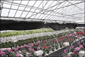 Lakeside Greenhouse located in Northwood.